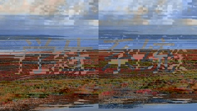 学生系统