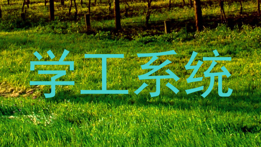学工系统
