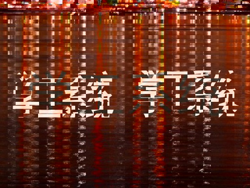 学工系统