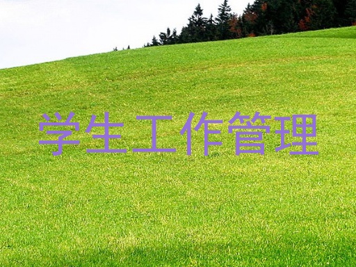 学生工作管理