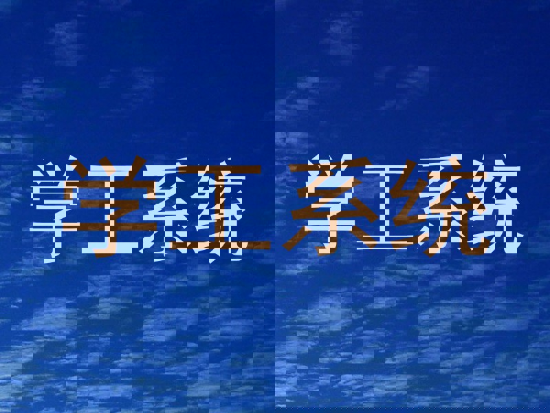 学工系统