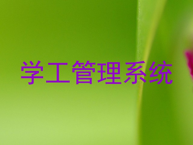 学工管理系统