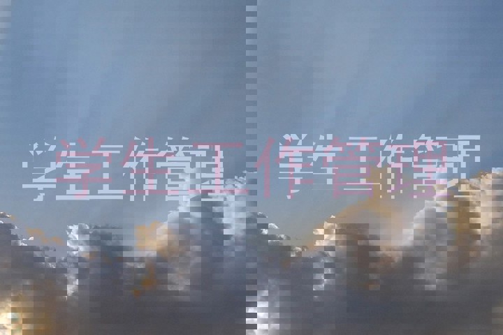 学生工作管理