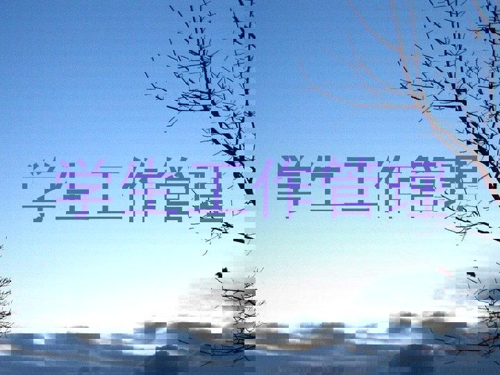 学生工作管理