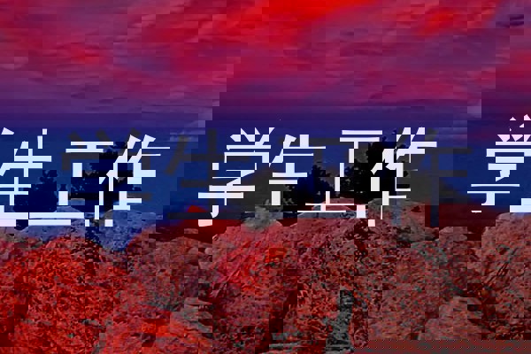 学生工作