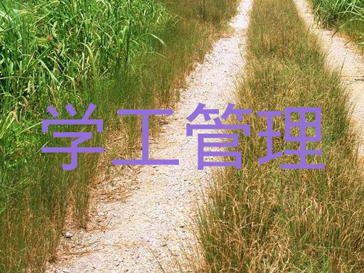学工管理