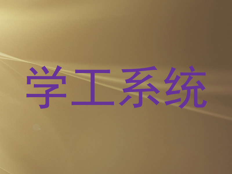 学工系统