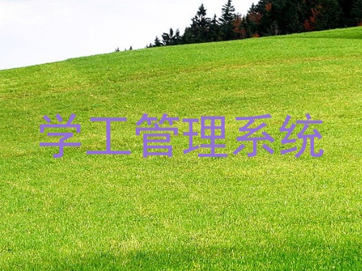 学工管理系统