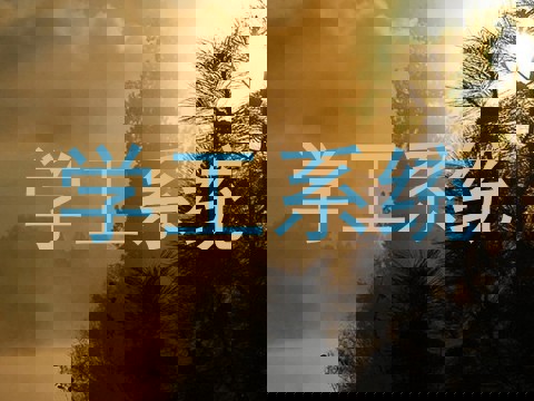 学工系统