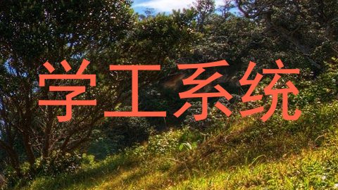 学工系统