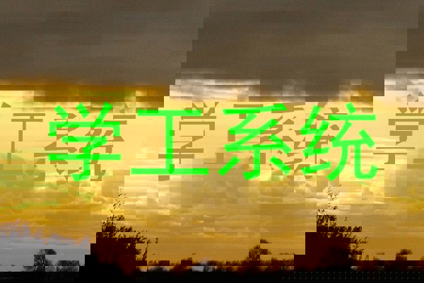 学工系统