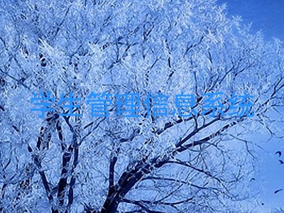 学生管理信息系统
