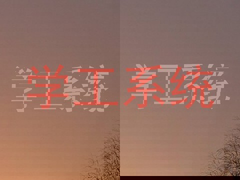 学工系统
