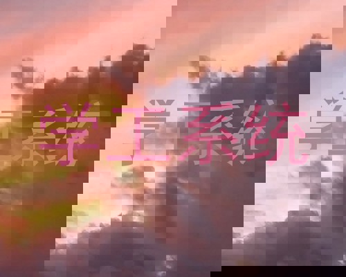学工系统