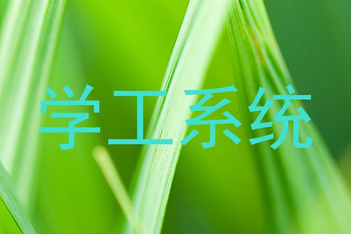 学工系统