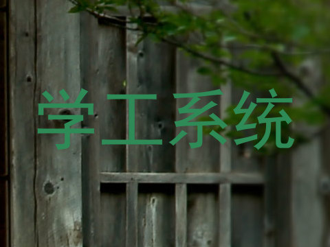 学工系统