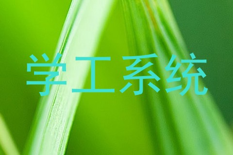 学工系统