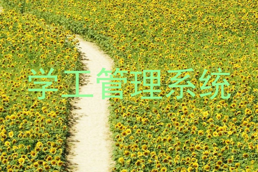 学工管理系统