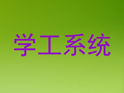 学工系统