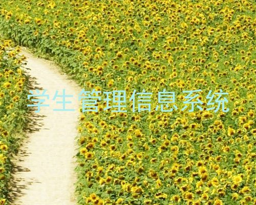 学生管理信息系统