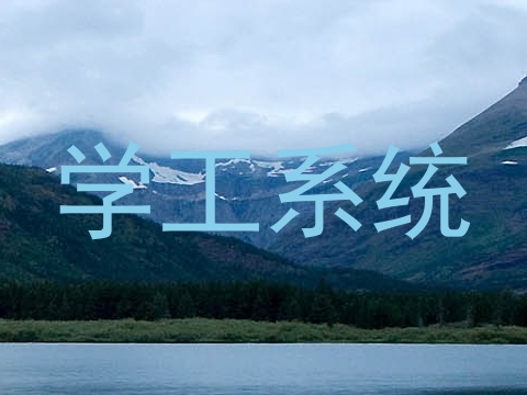 学工系统