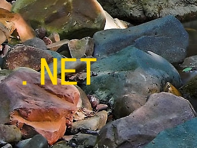 .NET