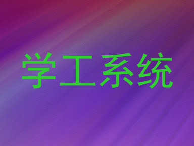 学工系统