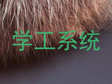学工系统