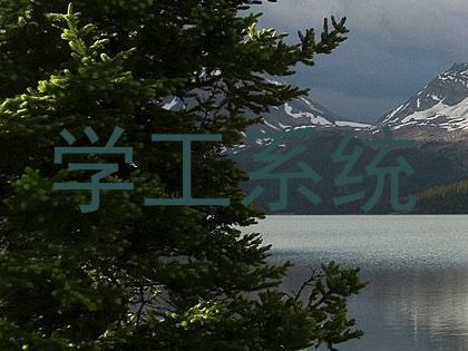 学工系统