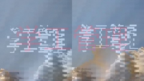 学工管理