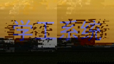 学工系统
