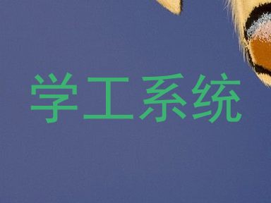 学工系统