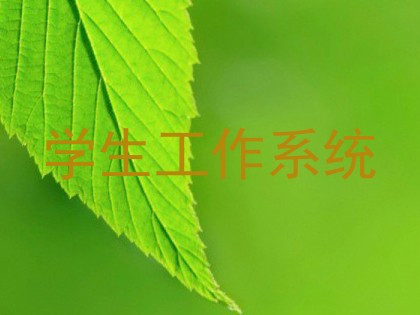 学生工作系统