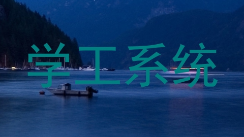 学工系统