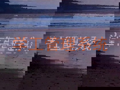 学工管理系统