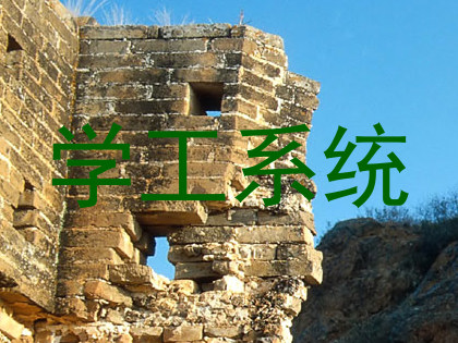 学工系统