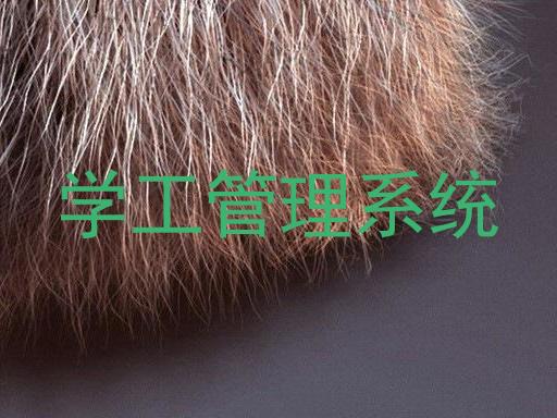 学工管理系统