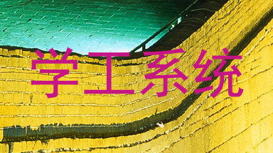 学工系统