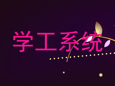 学工系统