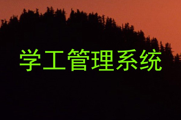 学工管理系统