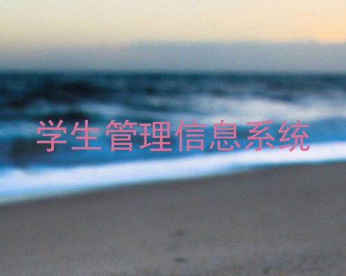 学生管理信息系统