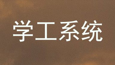 学工系统
