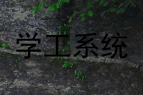 学工系统