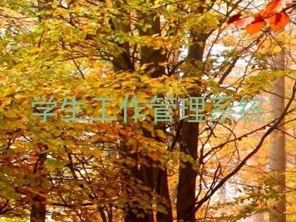 学生工作管理系统