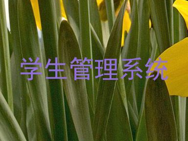 学生管理系统