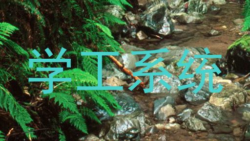 学工系统
