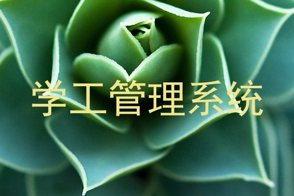 学工管理系统