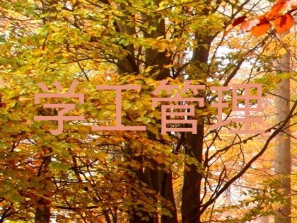 学工管理