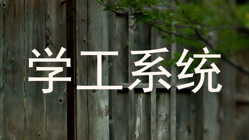学工系统