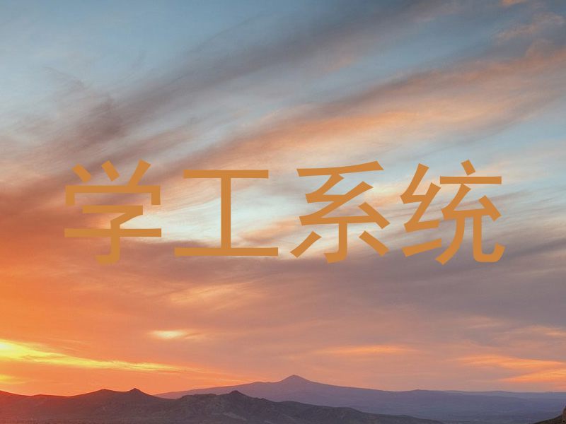学工系统